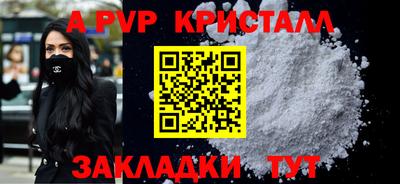 СК Новозыбков