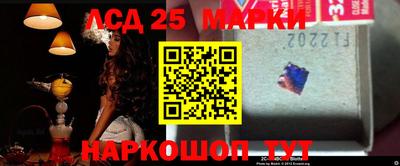 СК Новозыбков