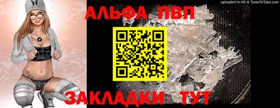 СК Новозыбков