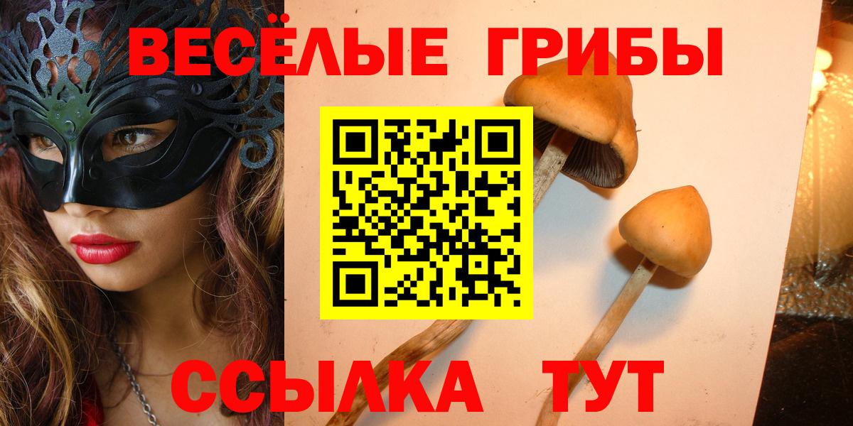 где найти   Вход с VPN  Пугачёв  Псилоцибиновые грибы Psilocybe  Галлюциногенные грибы Cubensis 