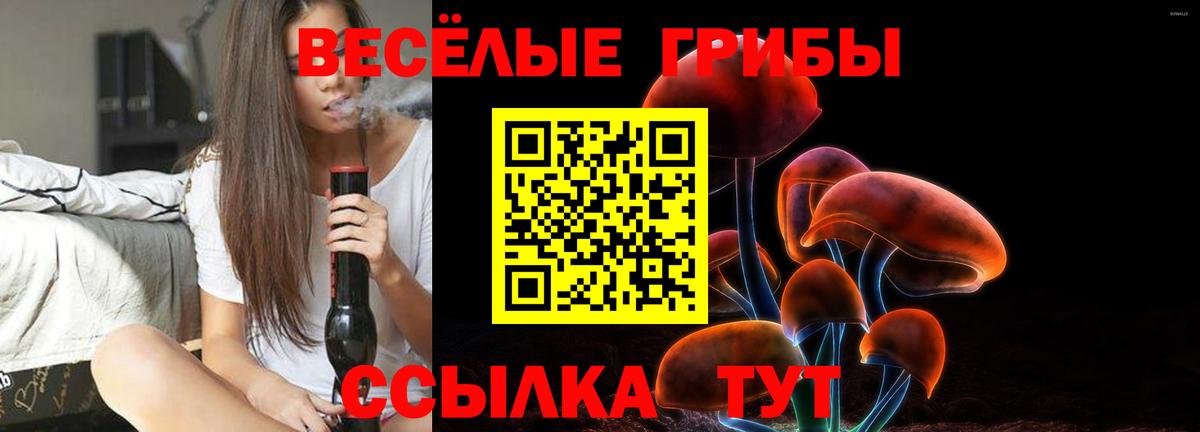 Галлюциногенные грибы MAGIC MUSHROOMS Пугачёв